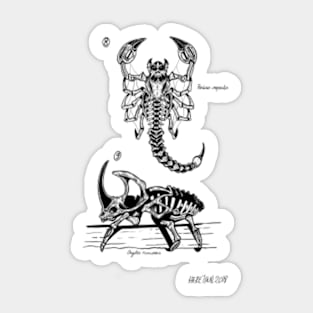 Insect Skeletons Sticker